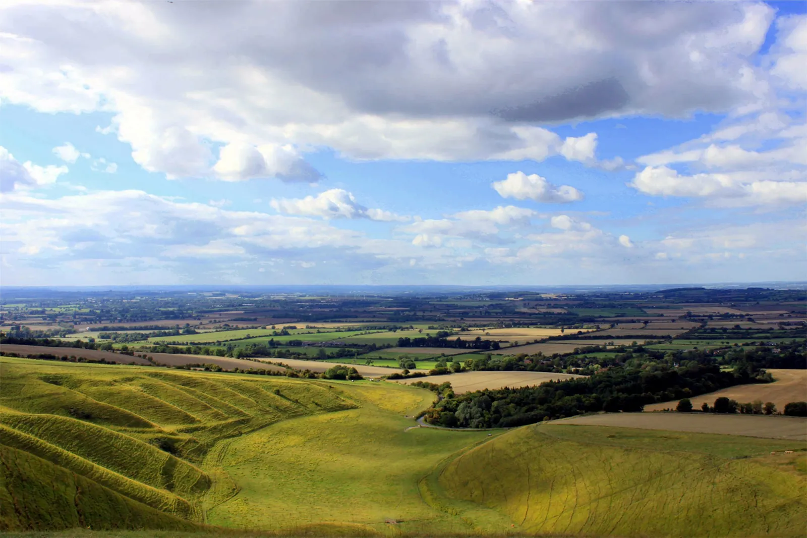 Green chalk downland folding away into a patchwork of fields and woods under a wide, cloudy sky